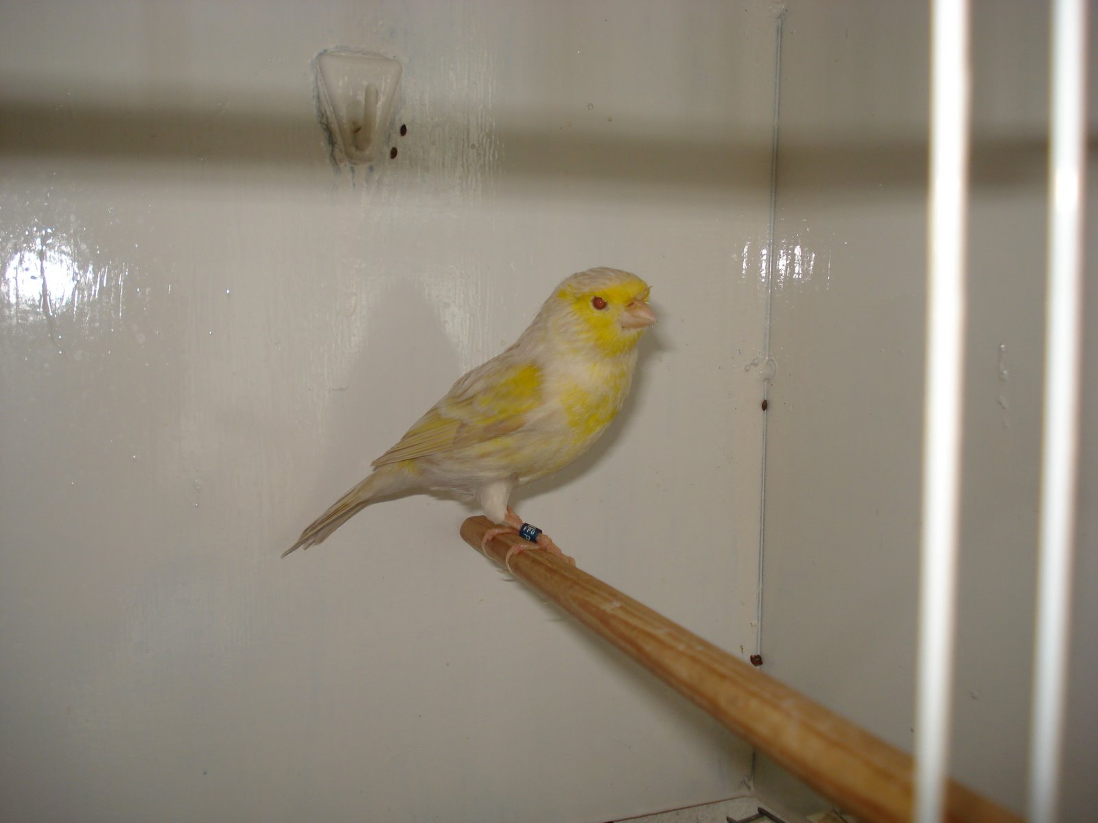 [DSC01190.JPG]
