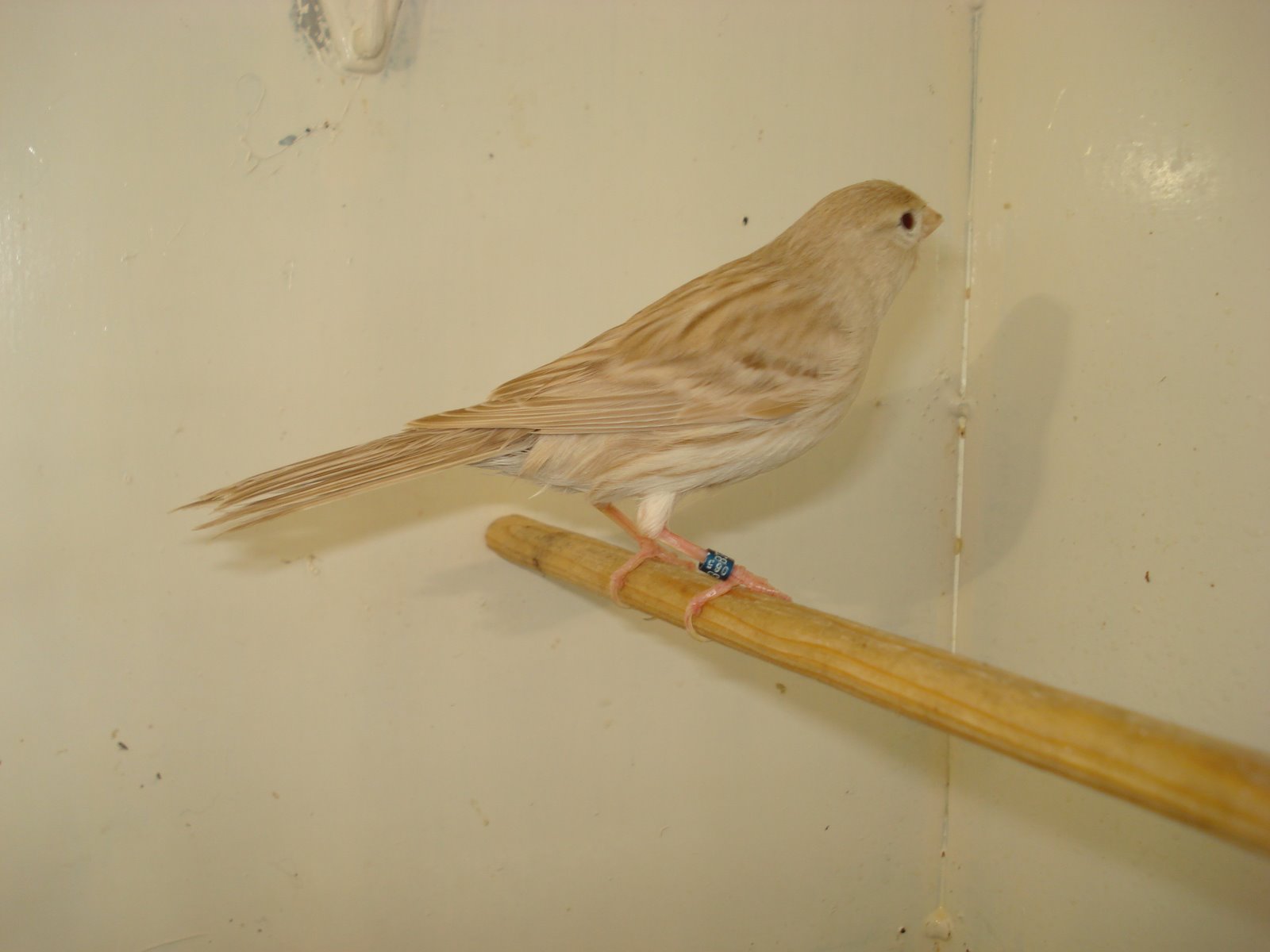 [DSC01833.JPG]