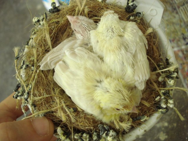 [DSC02215.JPG]