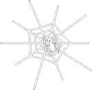 spider and spider web coloring page