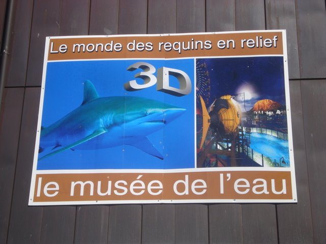 [32.jpg]