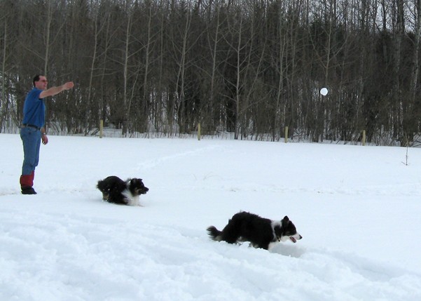[tthrowssnow.JPG]