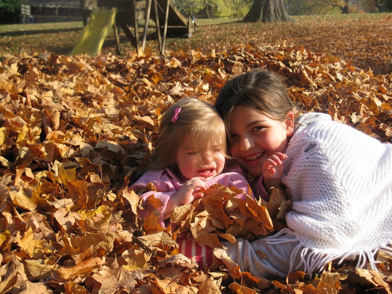 [IMG_0905.JPG]