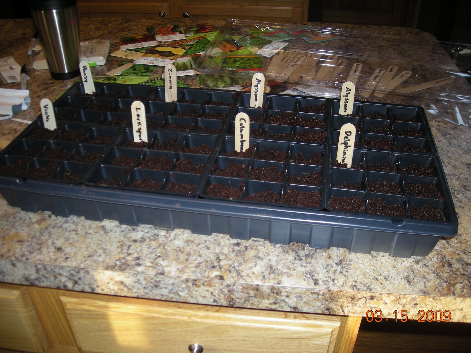 [garden+005.jpg]