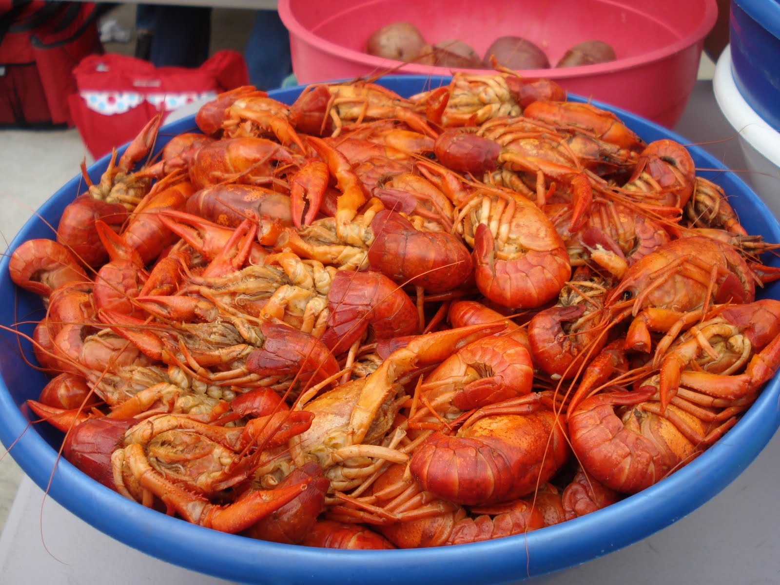 The Cynical Cook Crawdad Hole Jackson (part 2)