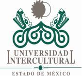 Universidad Intercultural