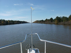 The Army Corps can definitely draw a straight line!.  Tenn-Tom Waterway Divide Cut.