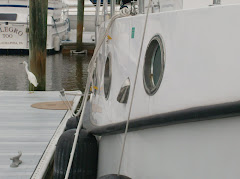 We had a guest on our dock.  Now he visits across the way. Not a people kind of guy, I guess.