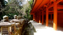 lanterns at shinto shrine
