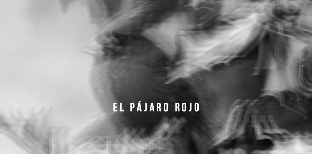 El pajaro Rojo