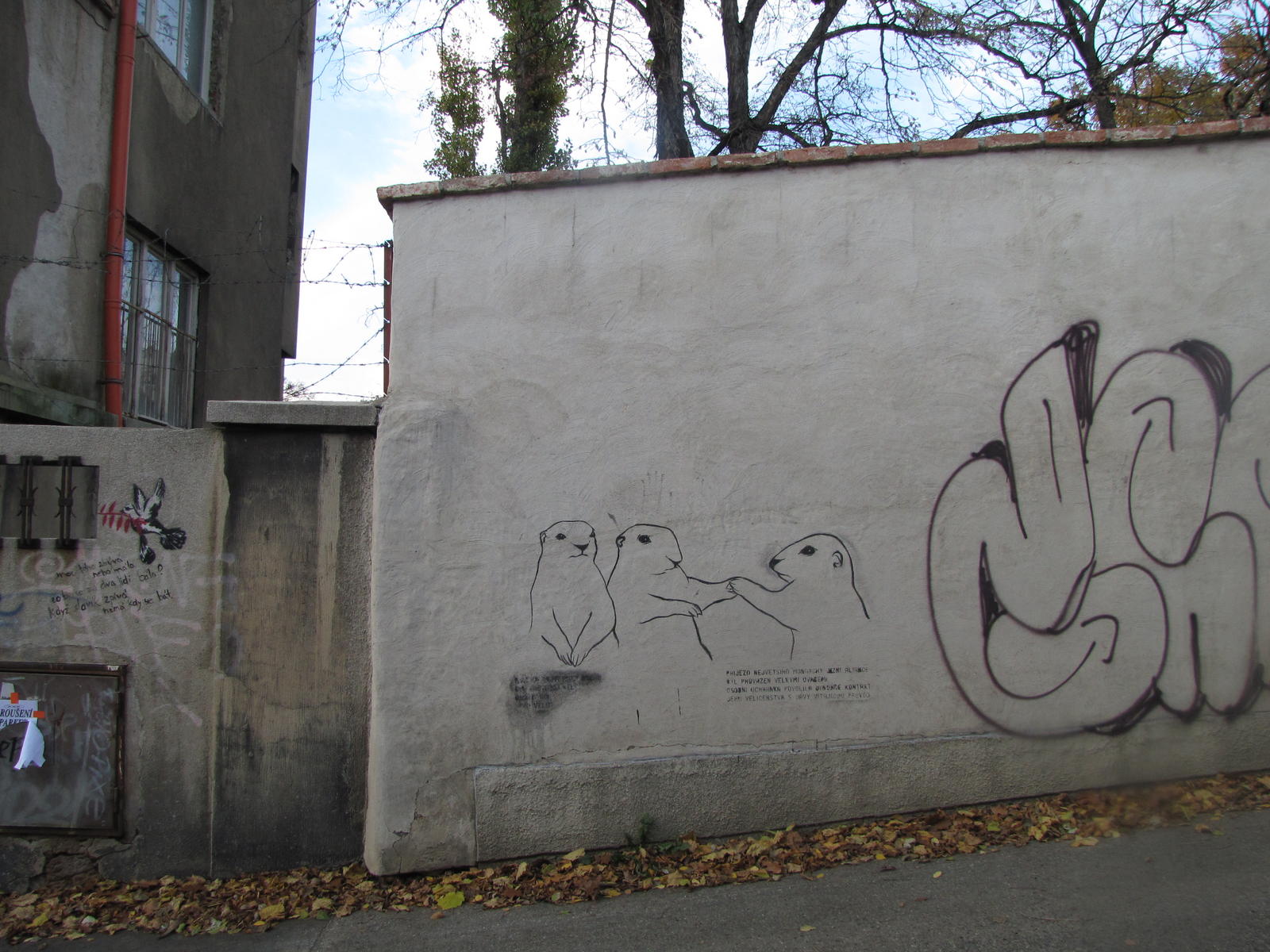 Pin By Brenna Mere On Graffiti Street Art Graffiti Murals