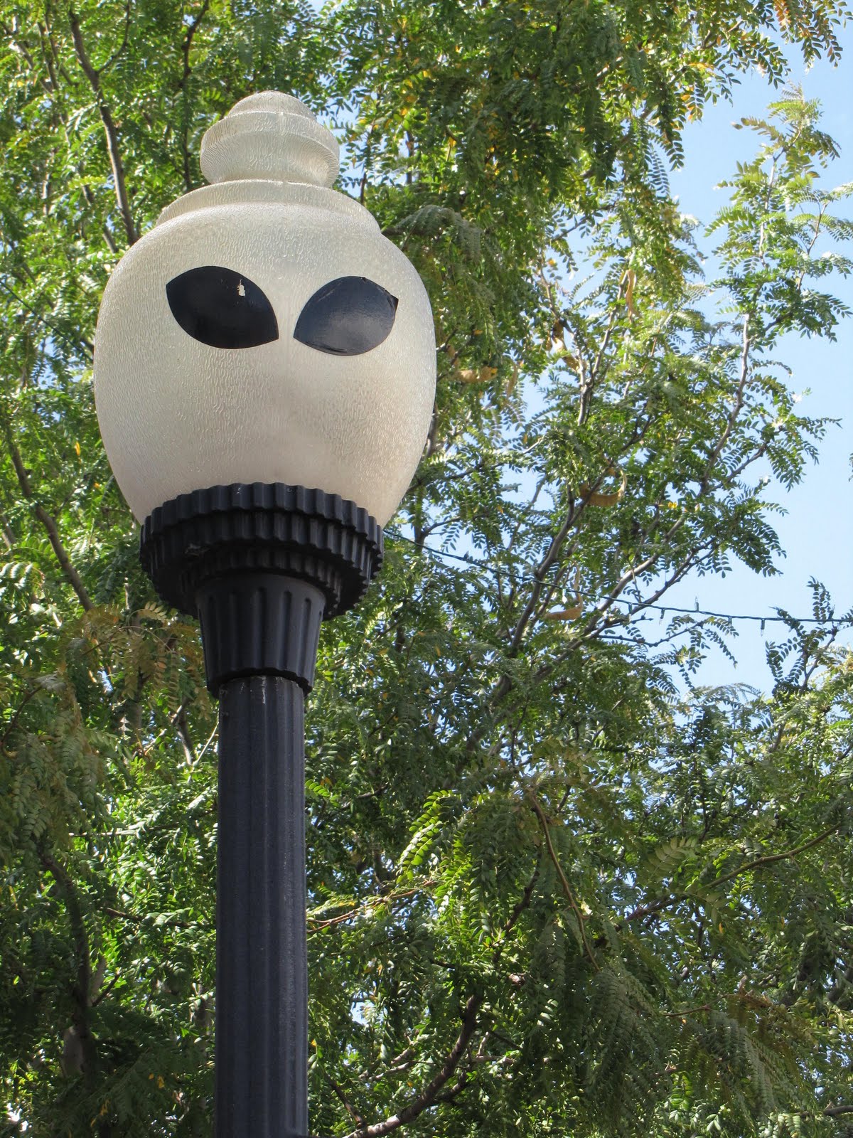 one.year.trip Texico, New Mexico to the Roswell