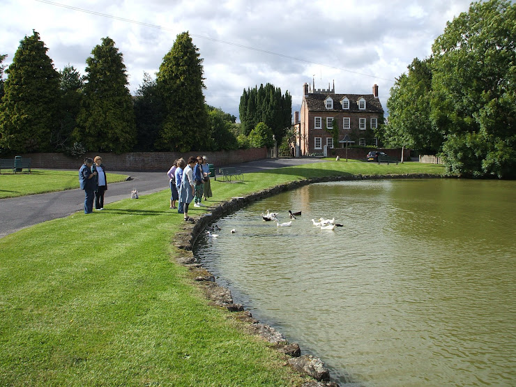 Duck pond