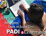 E-Learning to Dive