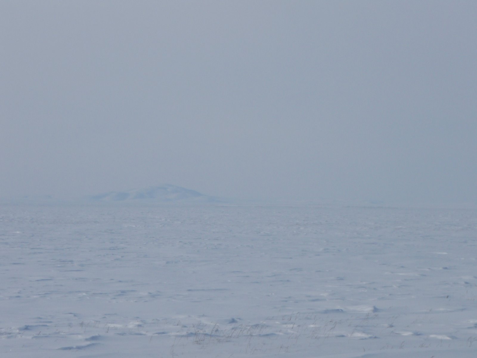 [P3282159.JPG]