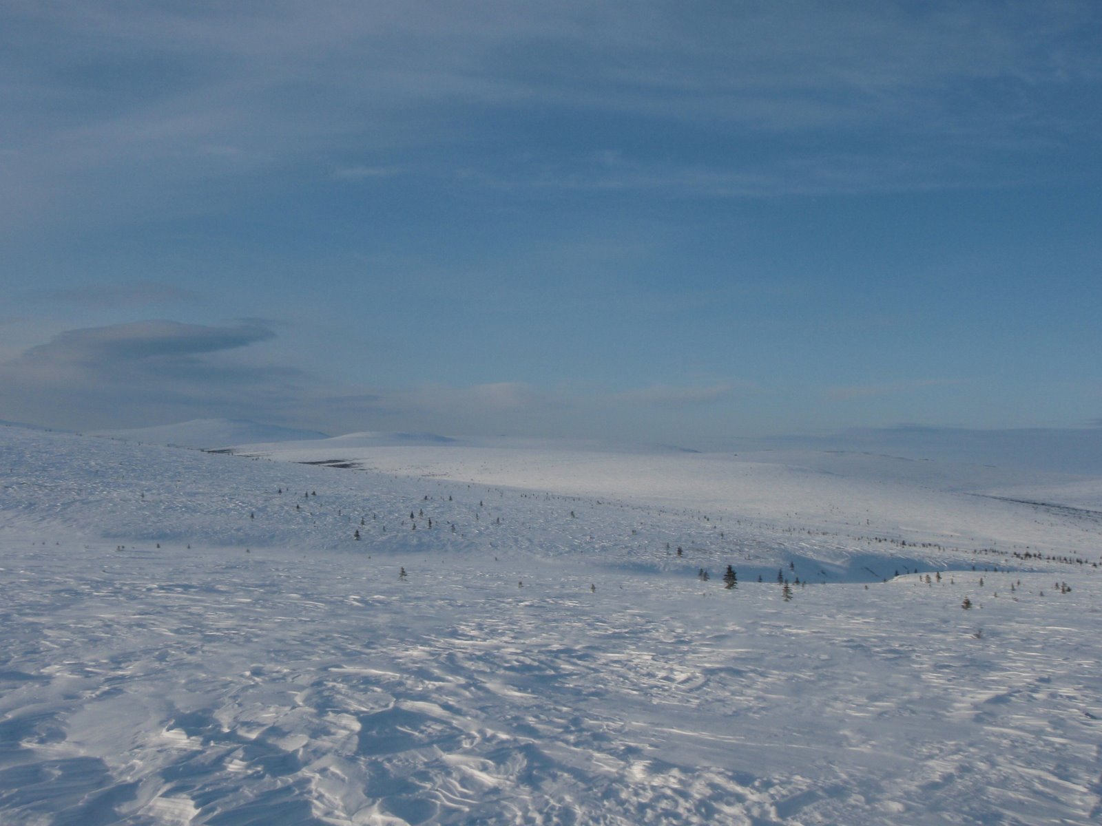[P3241459.JPG]