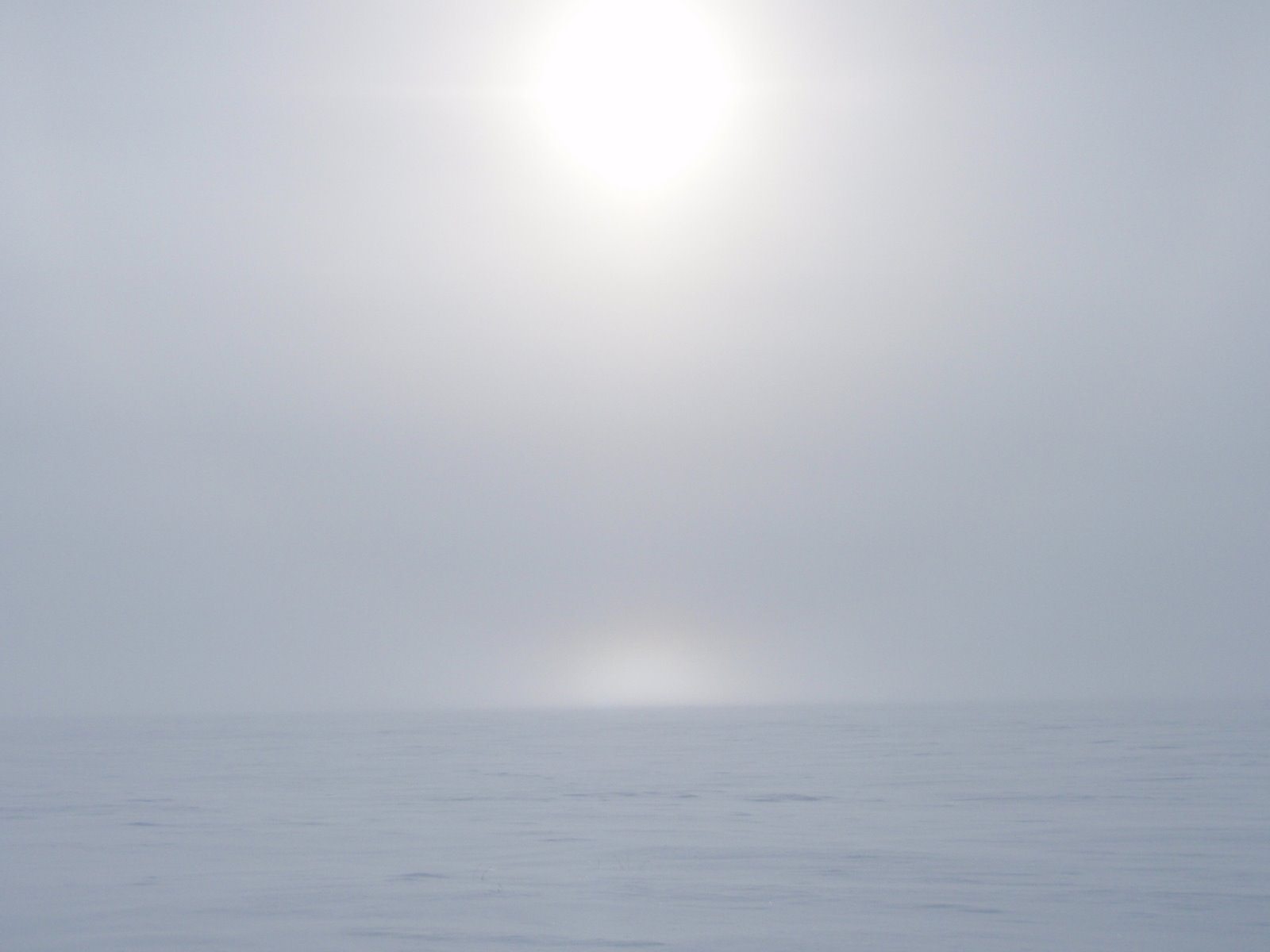 [P3292274.JPG]
