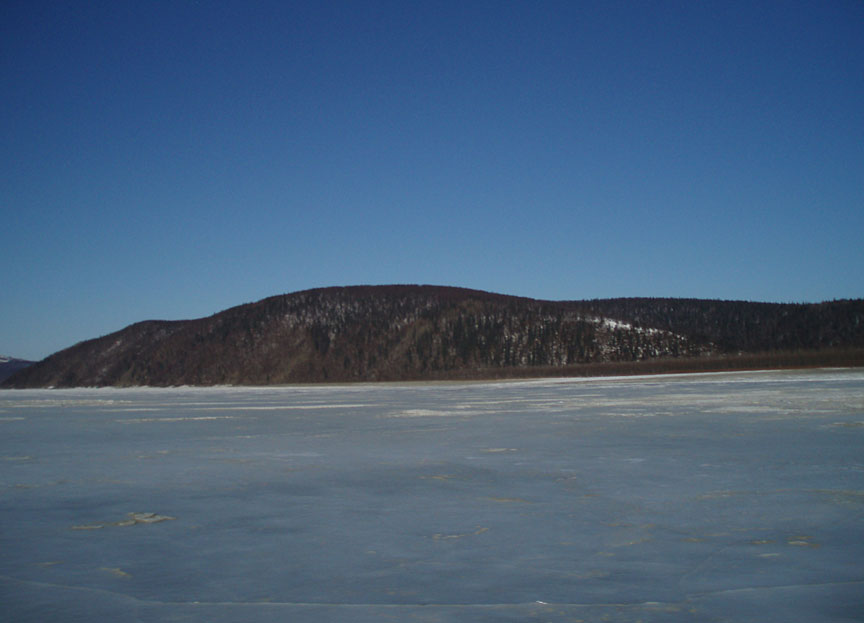 [P3131059b.jpg]