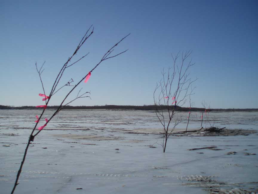[P3141275b.jpg]