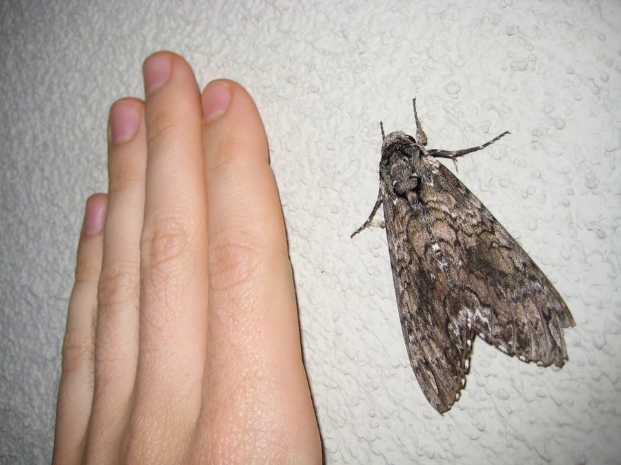 [IMG_4038.JPG]