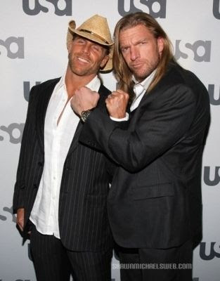 The Stalker Game! - Page 5 Shawn_michaels_and_triple_h_wwe_2056531_313_400