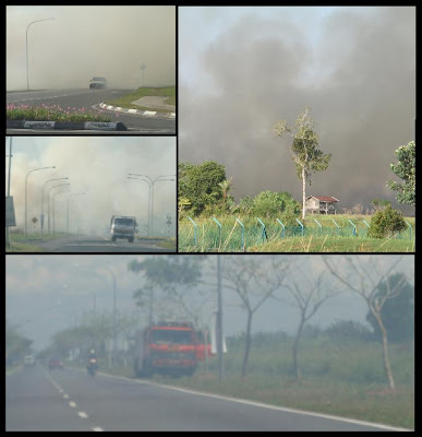Ilp Miri