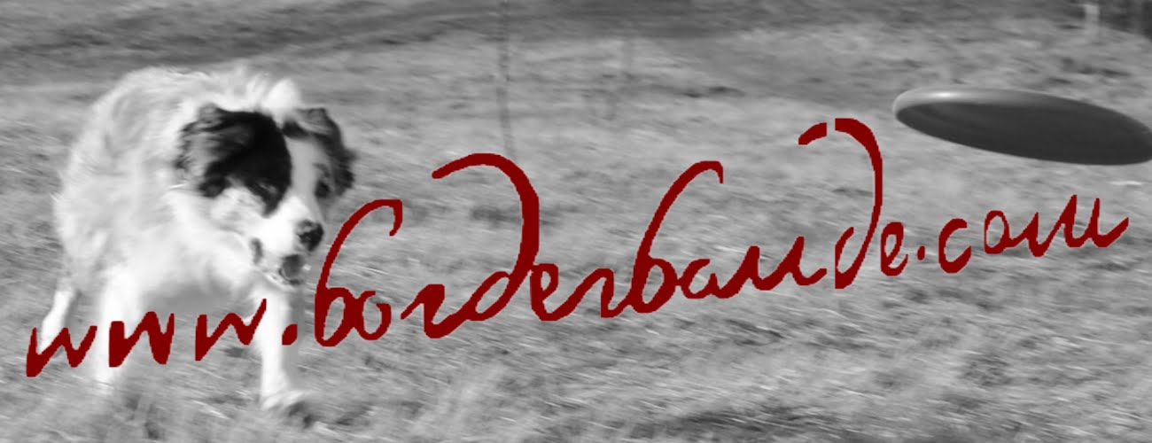Borderbande