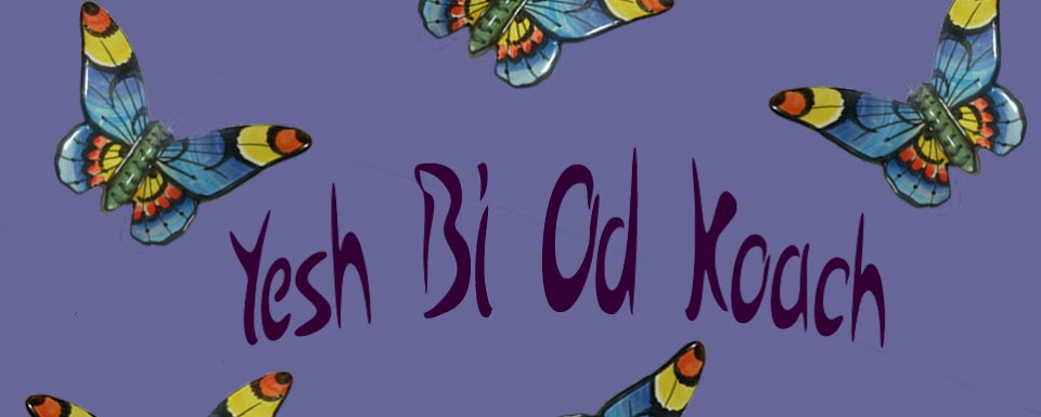 Yesh﻿ Bi Od Koach