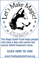 The Magic Bullet Fund