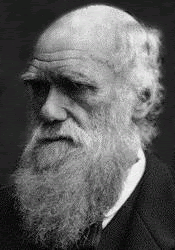 [darwin.gif]