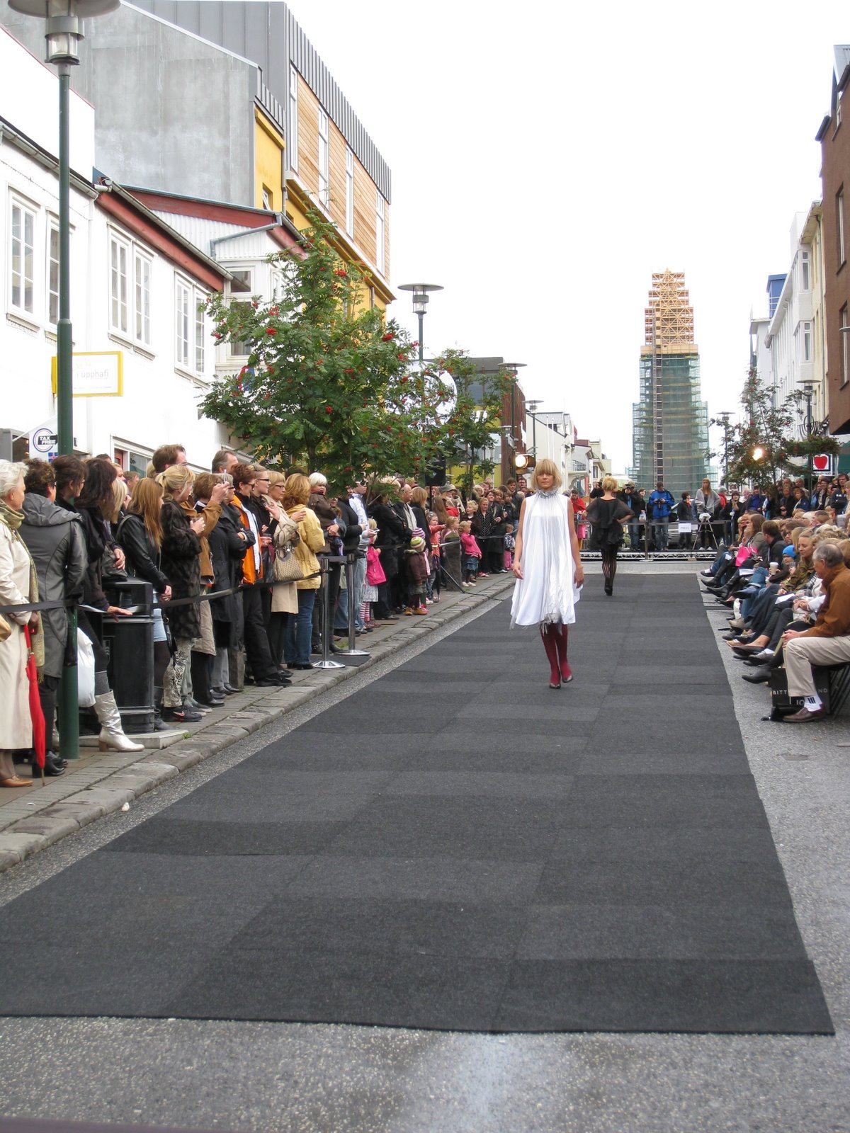 [IMG_0213.JPG]