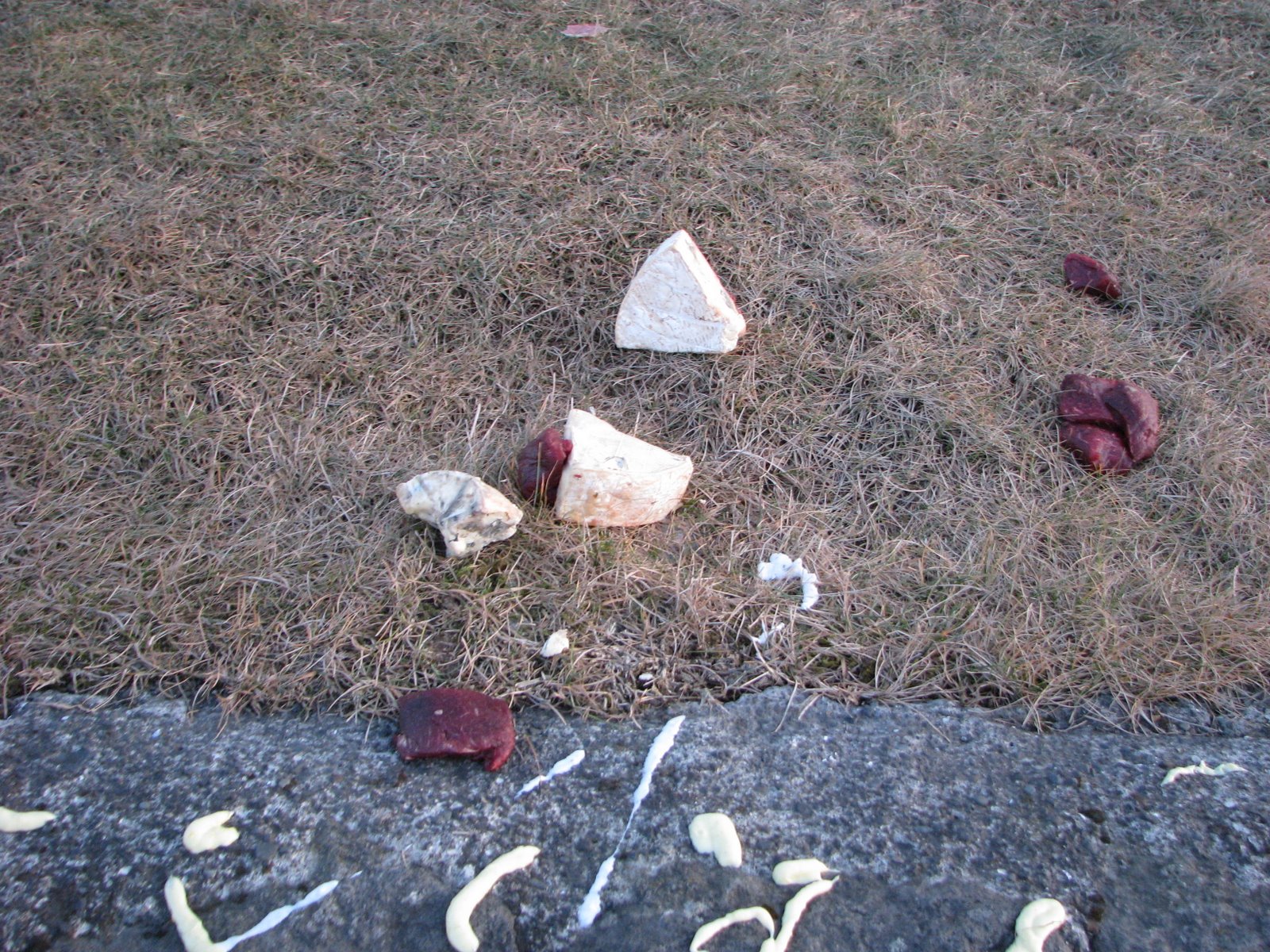 [IMG_9536.JPG]