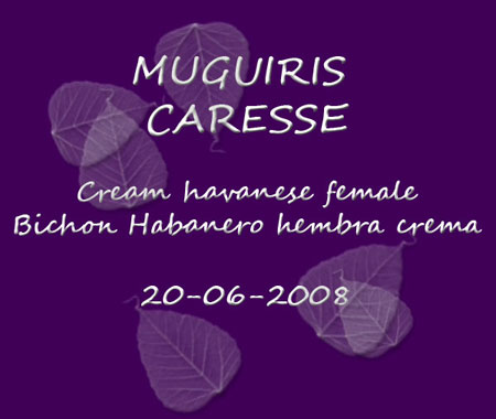 MUGUIRIS CARESSE