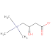 Chronic L-Carnitine L-Tartrate Supplementation Increases Exercise Induced Carbohydrate Oxidation in Men