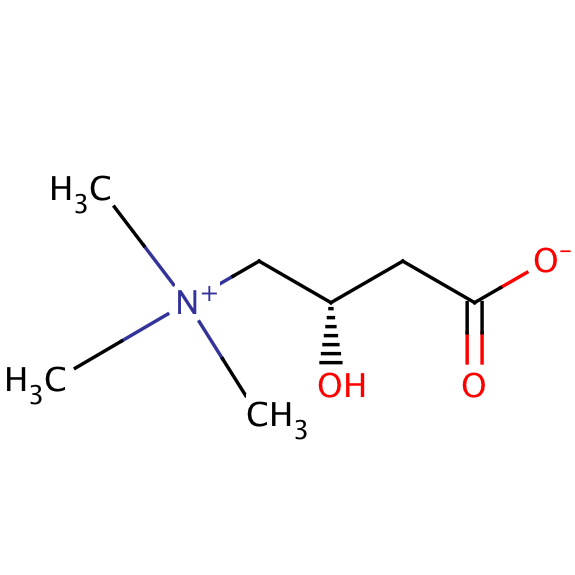 No Effect of LCarnitine on Fat Loss or Body Composition in Obese Women