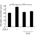 Reactive Oxygen Specimen (ROS) Trigger Muscle Hypertrophy via IGF-1 Signaling