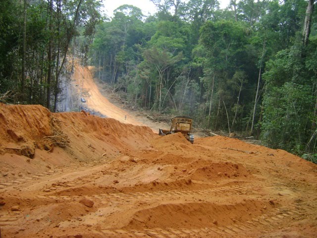 Cléia Soares Vitória do Jarí