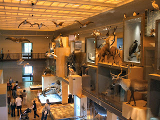 Great North Museum Great North Museum