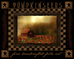 Pumpkinseeds