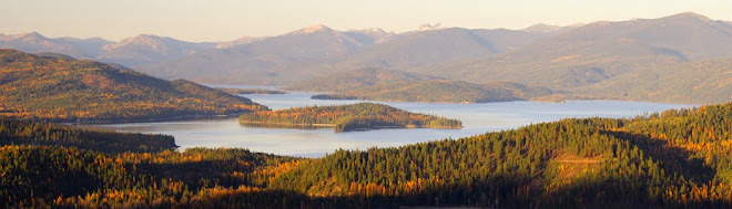 Fall, From Above