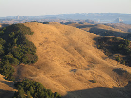 golden California hills