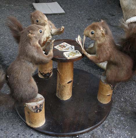 [card_playing_squirrel.jpg]