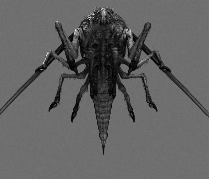 [mist_creatures_3.JPG]
