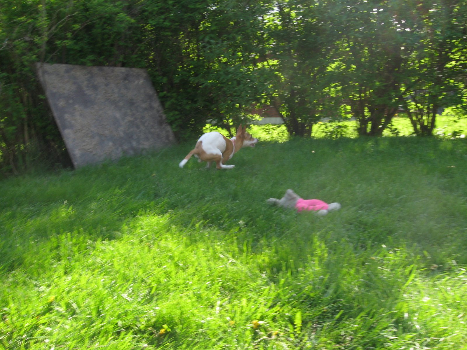 [IMG_4233.jpg]