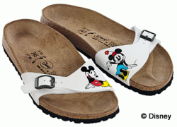 [minnie+and+mickey+sandals.gif]