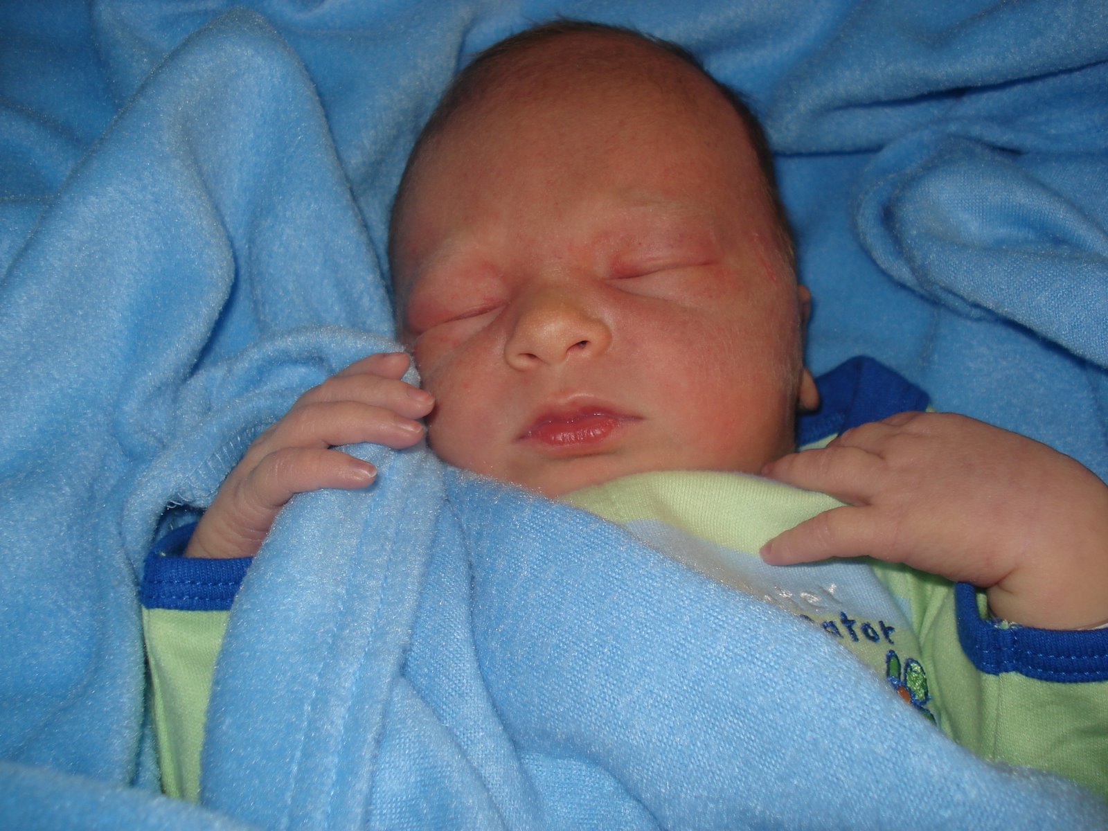 [DSC04130.JPG]