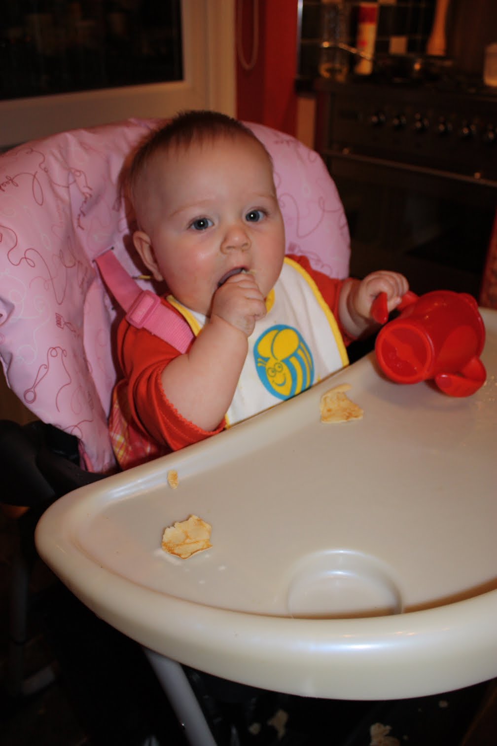 chicco happy snack highchair