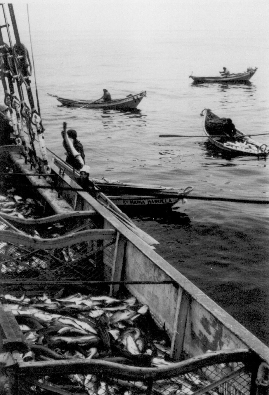 [1.+H.+Lemieux.SMM..jpg]