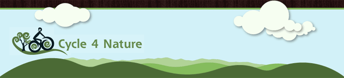 Cycle 4 Nature