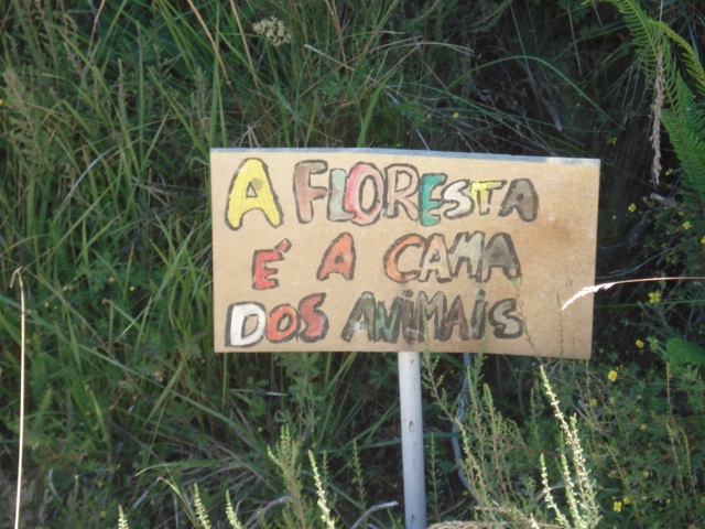 [DSC02105.JPG]